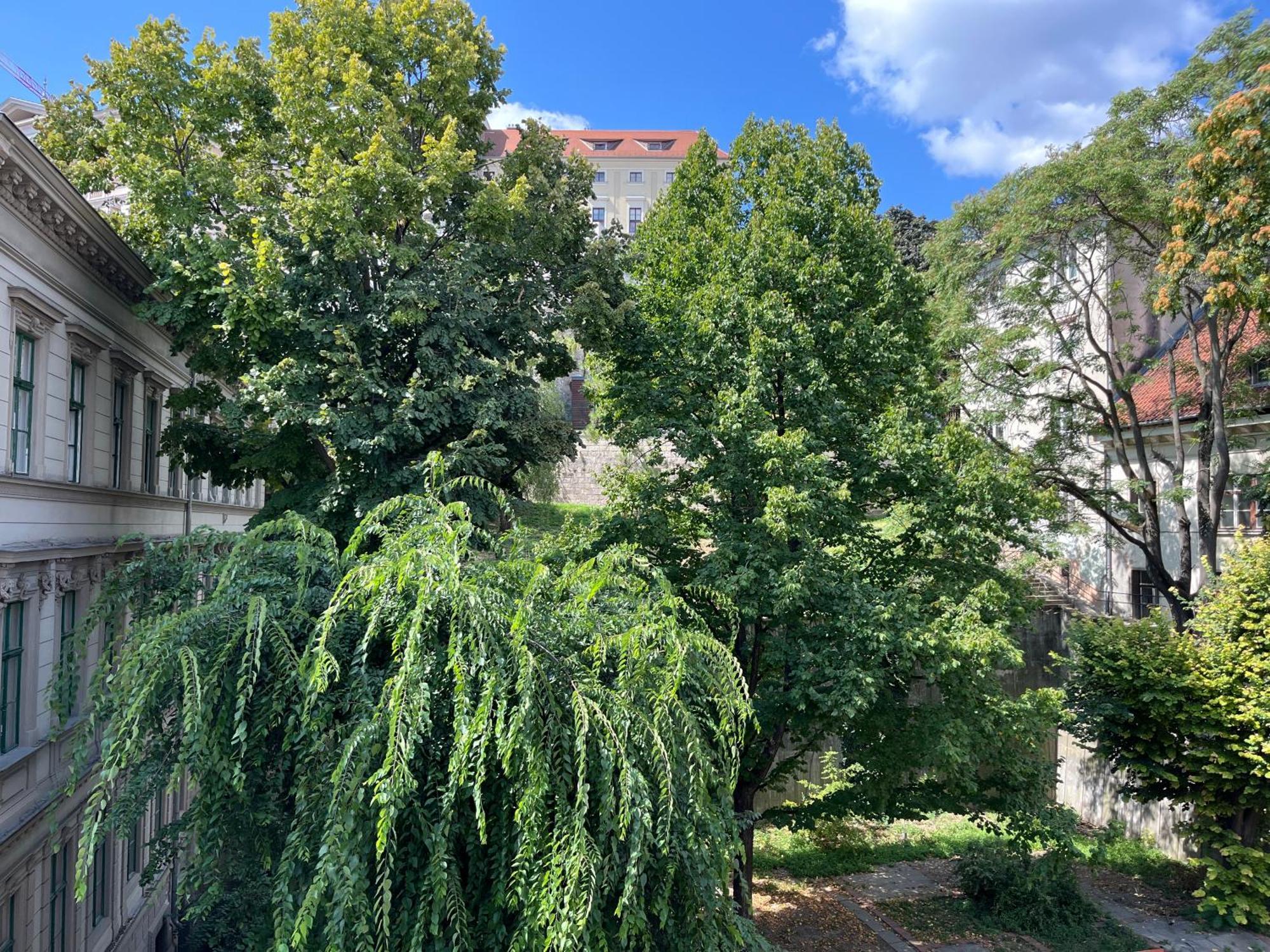 Sunny Studio At The Castle — Photos 1